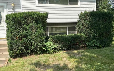 Photo of Jessica A.'s yard after getting tree care in Derby, KS