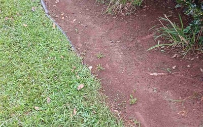 Photo of Ashley P.'s yard after getting landscaping in Bunn, NC