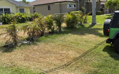 Photo of Michael S.'s yard after getting landscaping in Cape Coral, FL