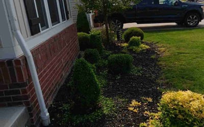 Photo of Rick M.'s yard after getting tree care in Cleveland, OH