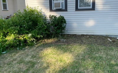 Photo of Donald C.'s yard after getting landscaping in Isanti, MN