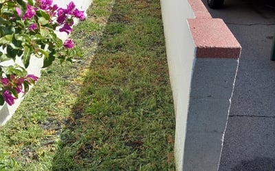 Photo of Ben S.'s yard after getting landscaping in Santa Monica, CA