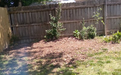 Photo of Christopher R.'s yard after getting landscaping in Dutton, VA