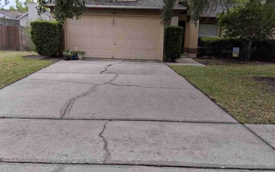 Photo of James W.'s yard after getting landscaping in Winter Garden, FL