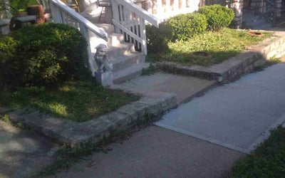 Photo of Lori B.'s yard after getting landscaping in Kansas City, MO