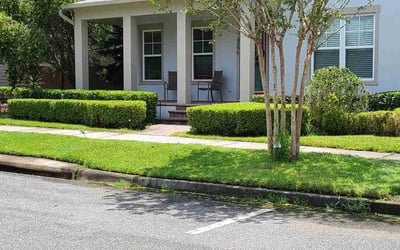 Photo of Peter S.'s yard after getting landscaping in Ferndale, FL