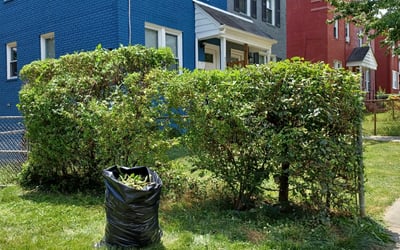 Photo of Dorothy S.'s yard after getting landscaping in Mc Lean, VA