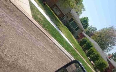 Photo of Stephanie H.'s yard after getting landscaping in Palatine, IL