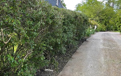 Photo of Mike C.'s yard after getting landscaping in Fairview, TN