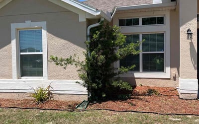 Photo of Brooke B.'s yard after getting landscaping in Indian Lake Estates, FL