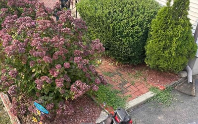 Photo of Stephanie M.'s yard after getting landscaping in Newtown, CT