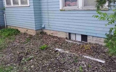 Photo of Elizabeth A.'s yard after getting landscaping in Charlotte, MI