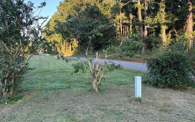 Photo of Caitlin W.'s yard after getting tree care in Chesterfield, VA