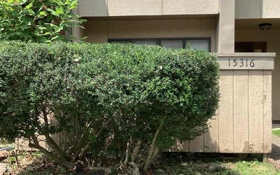 Photo of Tabitha R.'s yard after getting tree care in Woodbridge, VA