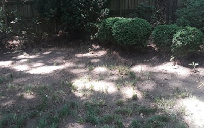 Photo of Matt H.'s yard after getting landscaping in Columbia, VA