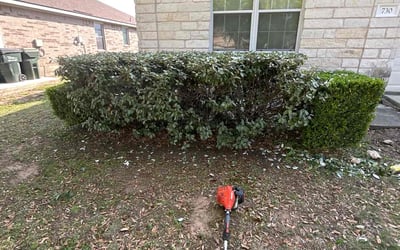 Photo of Tiffany H.'s yard after getting landscaping in Kyle, TX