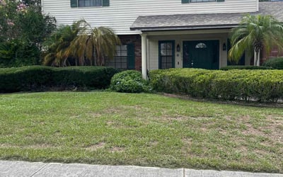 Photo of Hollie C.'s yard after getting landscaping in Mango, FL