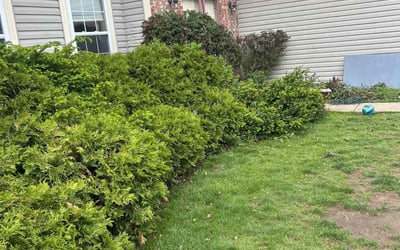 Photo of Valerie S.'s yard after getting landscaping in Reynoldsburg, OH