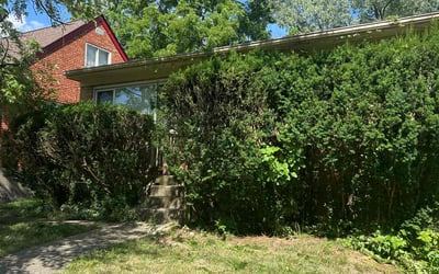 Photo of Anthony S.'s yard after getting lawn care in Walton, KY