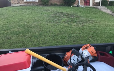 Photo of Ania C.'s yard after getting lawn care in Addison, TX