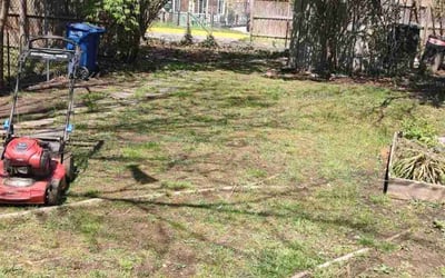 Photo of Kathleen G.'s yard after getting landscaping in Summit Point, WV