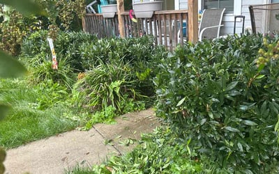 Photo of Mary H.'s yard after getting landscaping in Penns Grove, NJ