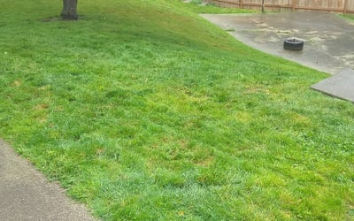 Photo of Jodi W.'s yard after getting landscaping in Arlington, WA