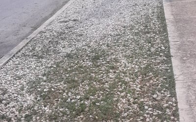 Photo of Andrew H.'s yard after getting landscaping in Peggy, TX