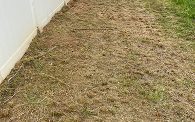 Photo of Amr A.'s yard after getting landscaping in Crouse, NC