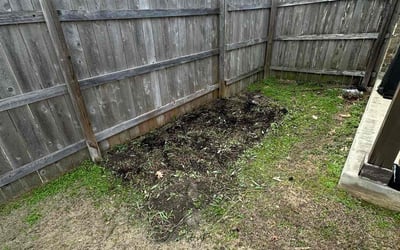 Photo of Sylvia H.'s yard after getting landscaping in Hutto, TX