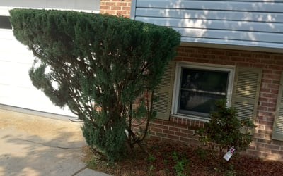 Photo of Shalonda W.'s yard after getting landscaping in Huntly, VA