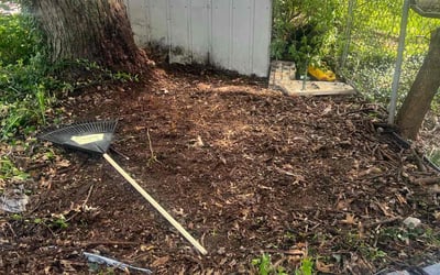 Photo of Christina G.'s yard after getting landscaping in Cincinnati, OH