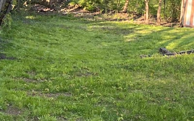 Photo of Kevin S.'s yard after getting landscaping in Portland, CT