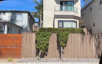 Photo of Michael F.'s yard after getting landscaping in Coronado, CA