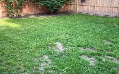 Photo of Carrie M.'s yard after getting landscaping in Mooresville, IN