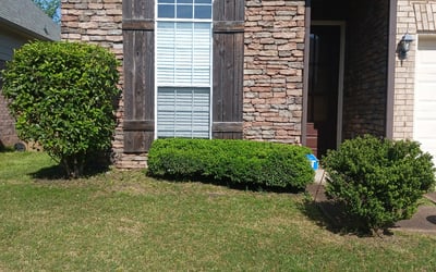 Photo of Peggy M.'s yard after getting landscaping in Covington, TN