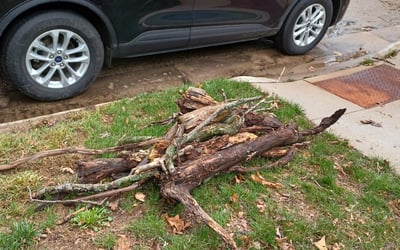 Photo of David S.'s yard after getting landscaping in Portage, WI