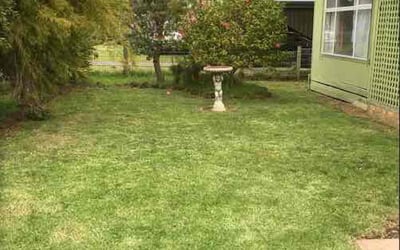 Photo of Ophelia R.'s yard after getting tree care in Santa Barbara, CA