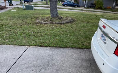 Photo of Andrew L.'s yard after getting landscaping in Glencoe, KY