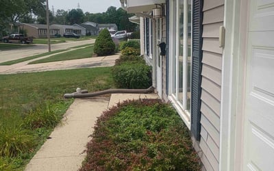 Photo of Barbara S.'s yard after getting tree care in West Chicago, IL