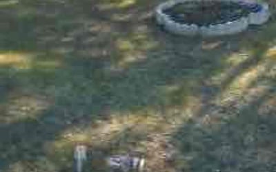 Photo of Stacey C.'s yard after getting landscaping in Bowie, MD