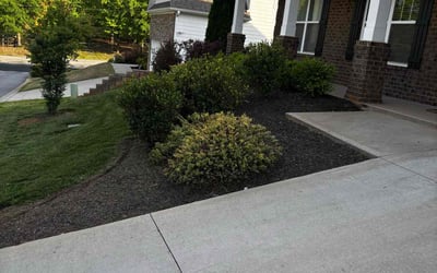 Photo of William B.'s yard after getting landscaping in Travelers Rest, SC