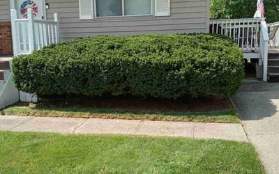 Photo of Jack F.'s yard after getting landscaping in Pleasant Plain, OH