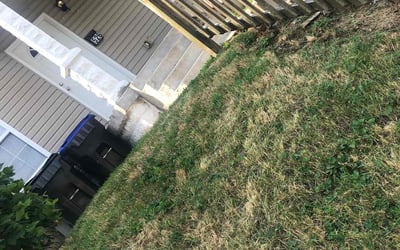 Photo of Alex G.'s yard after getting landscaping in Corydon, IN