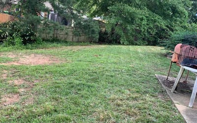 Photo of William R.'s yard after getting landscaping in Columbus, GA