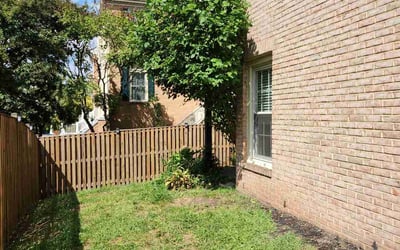 Photo of Vicky H.'s yard after getting tree care in Stafford, VA