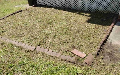 Photo of Matthew H.'s yard after getting landscaping in Apex, NC