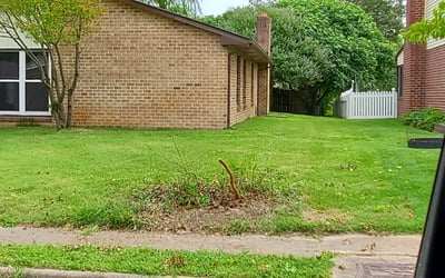 Photo of Charles B.'s yard after getting landscaping in Schley, VA