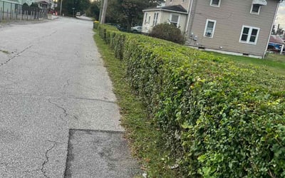 Photo of Kim P.'s yard after getting landscaping in Woodbine, MD