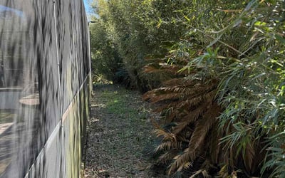 Photo of Marcus A.'s yard after getting landscaping in Century, FL